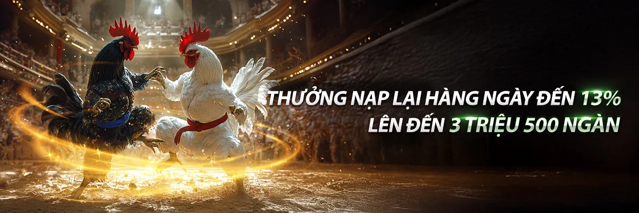 Hình ảnh minh họa trách nhiệm cá cược an toàn tại SC 88