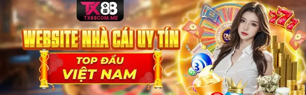 Hình ảnh Điều khoản & Điều kiện SC 88